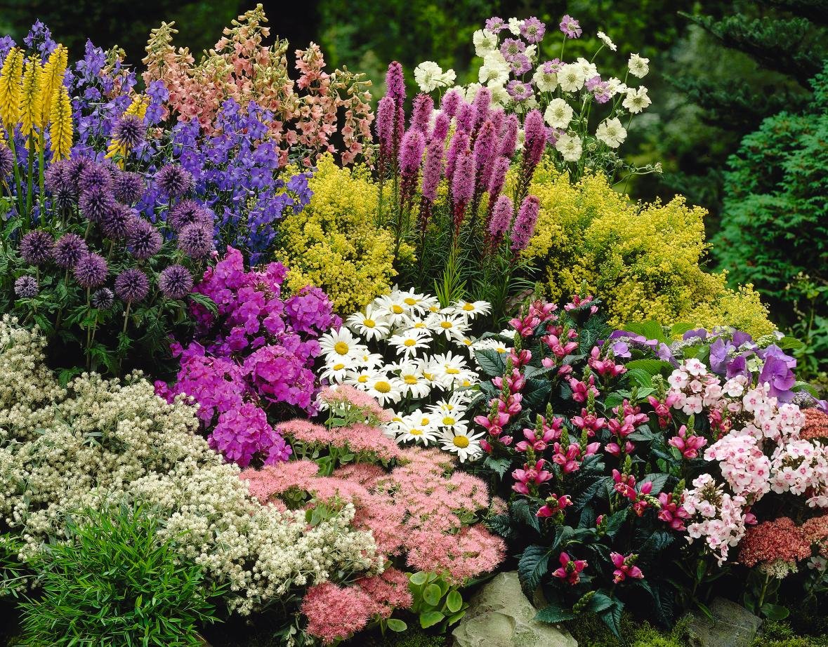 gardening classes