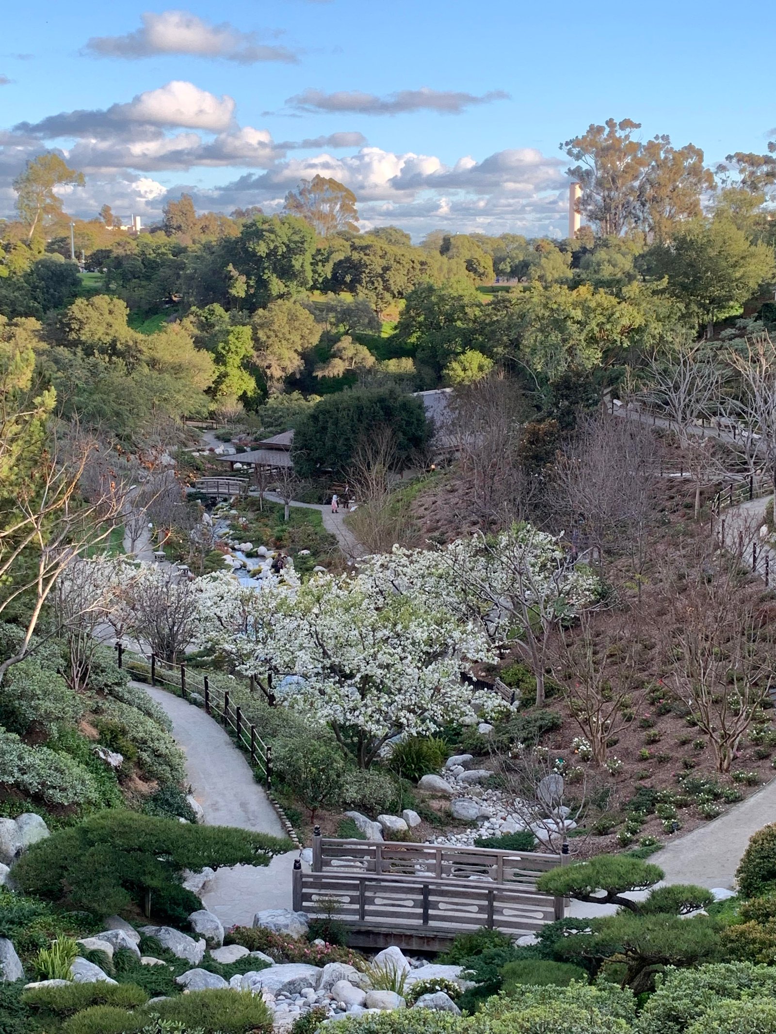 japanese friendship garden @ balboa park, san diego ca. (taken edith
