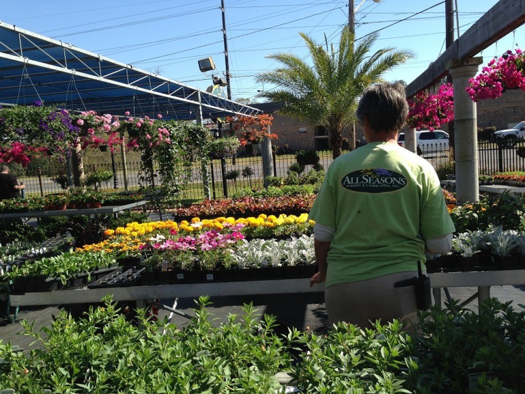 garden center | lafayette & youngsville, la: all seasons nursery