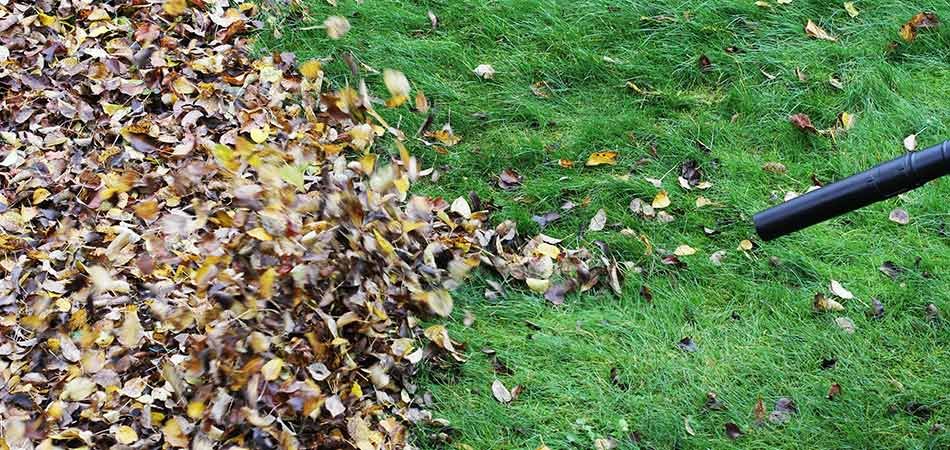spring & fall yard cleanups in forest hill, bel air