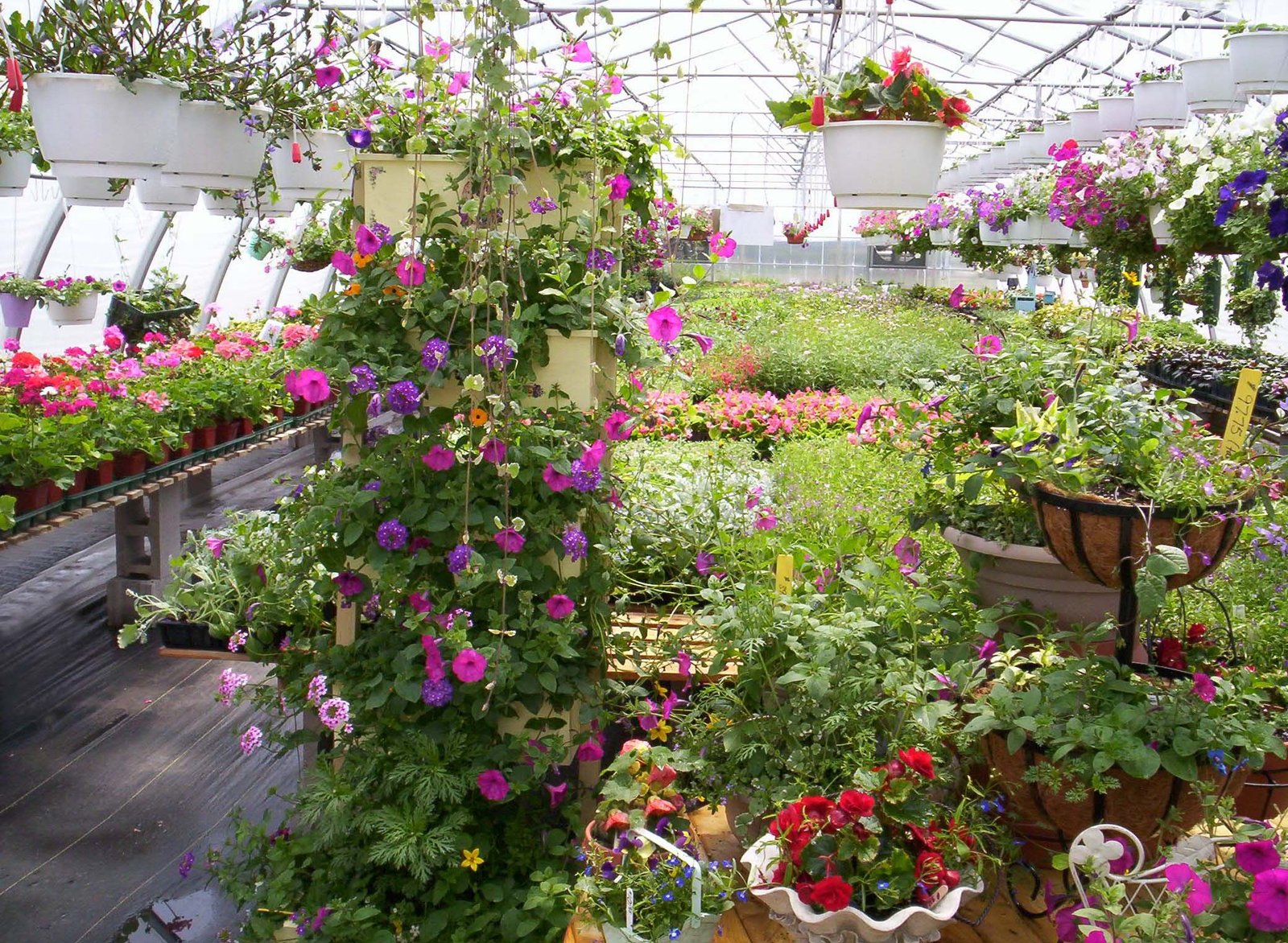 native sun nursery & landscaping: lafayette & broussard, la