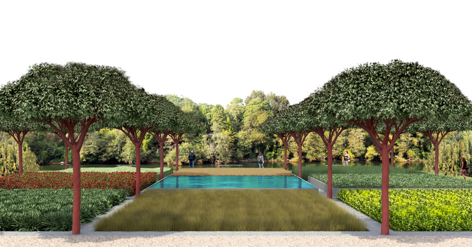 new garden: concept garden - hamilton gardens