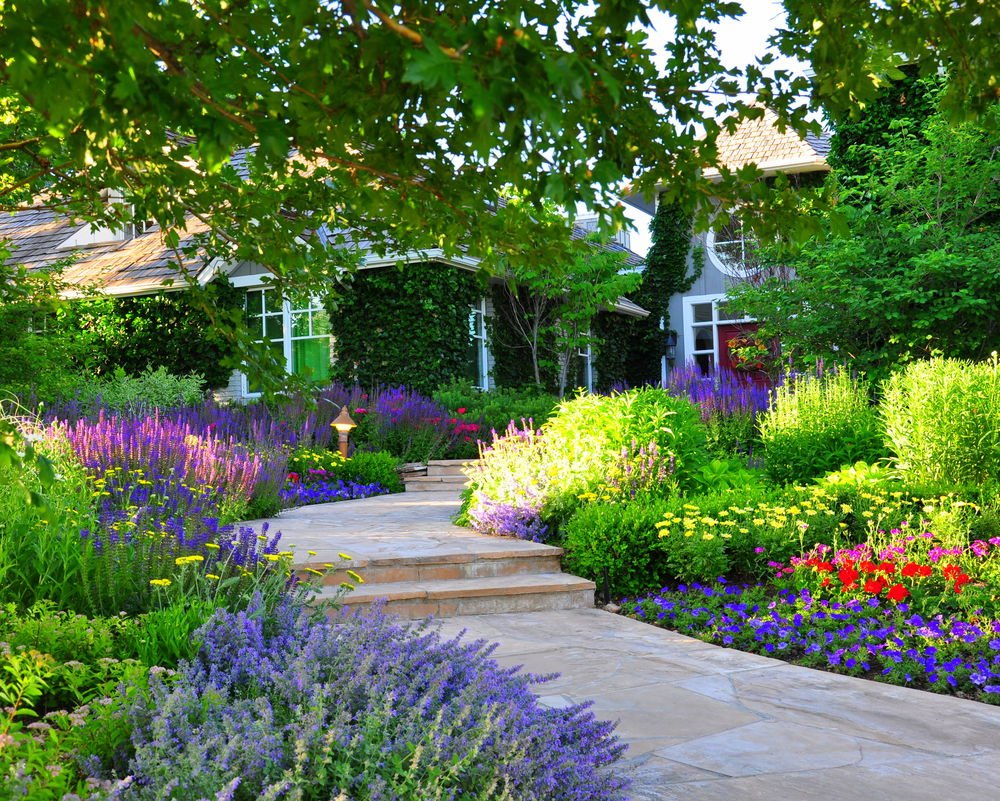 denver garden landscape & design | designscapes colorado