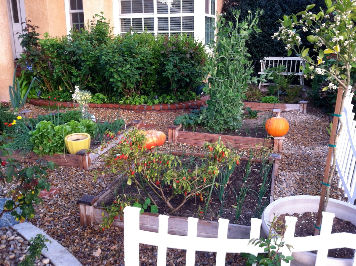 karen's no-lawn front yard in california - finegardening
