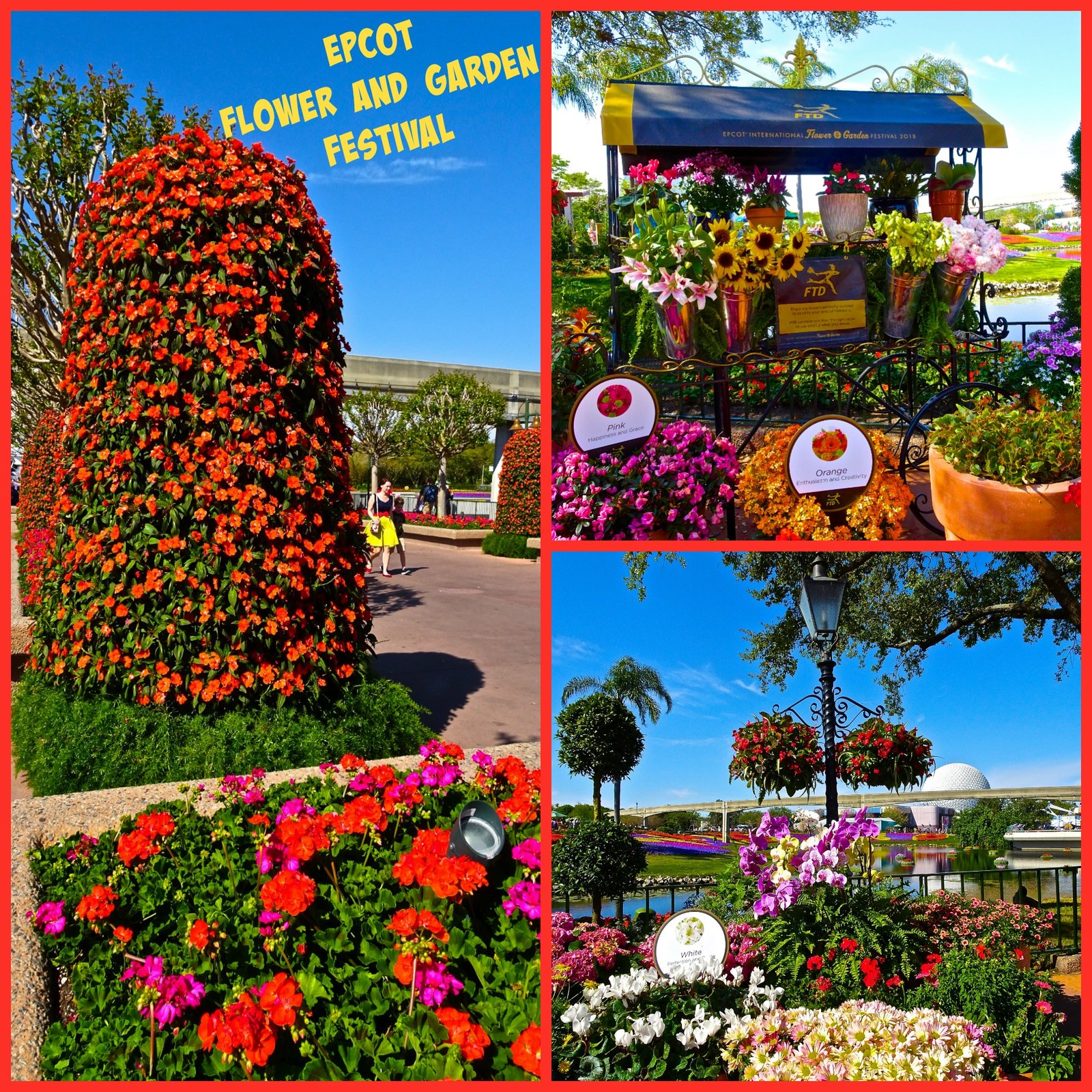 epcot flower and garden festival: 25th anniversary | funandfork
