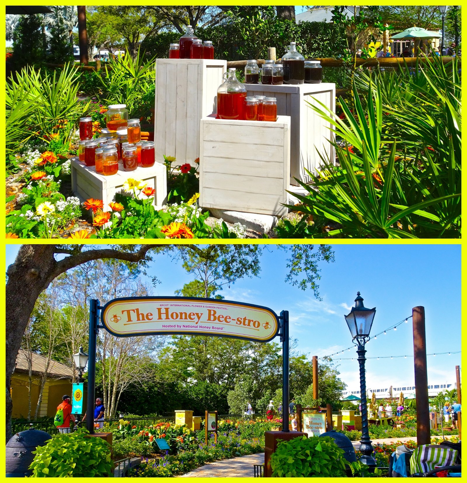 epcot flower and garden festival: 25th anniversary | funandfork