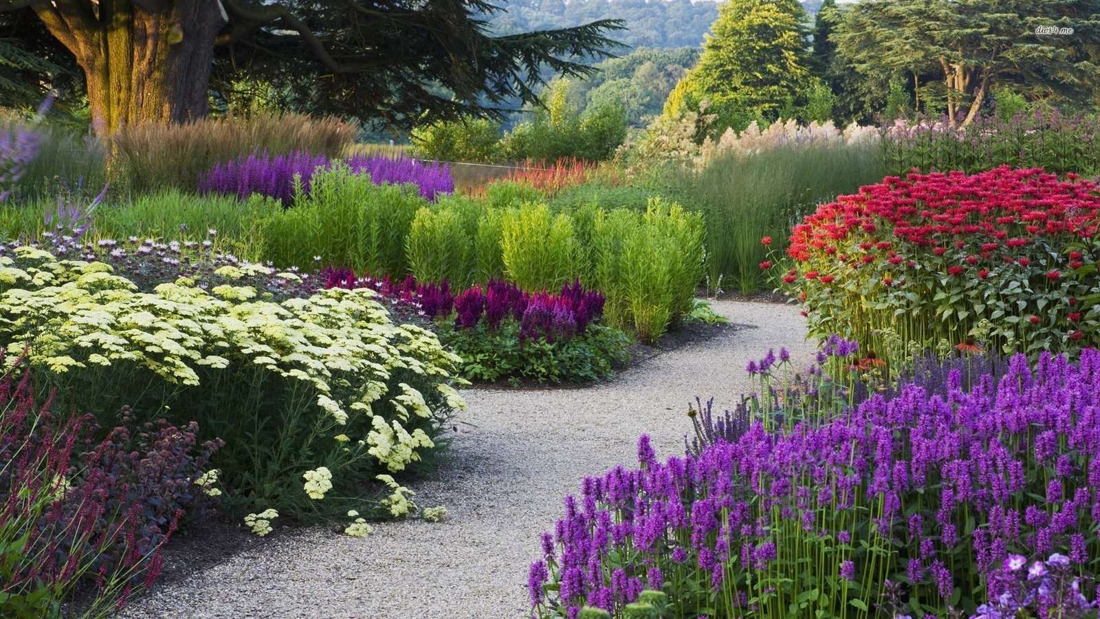 flower garden desktop wallpapers - top free flower garden desktop