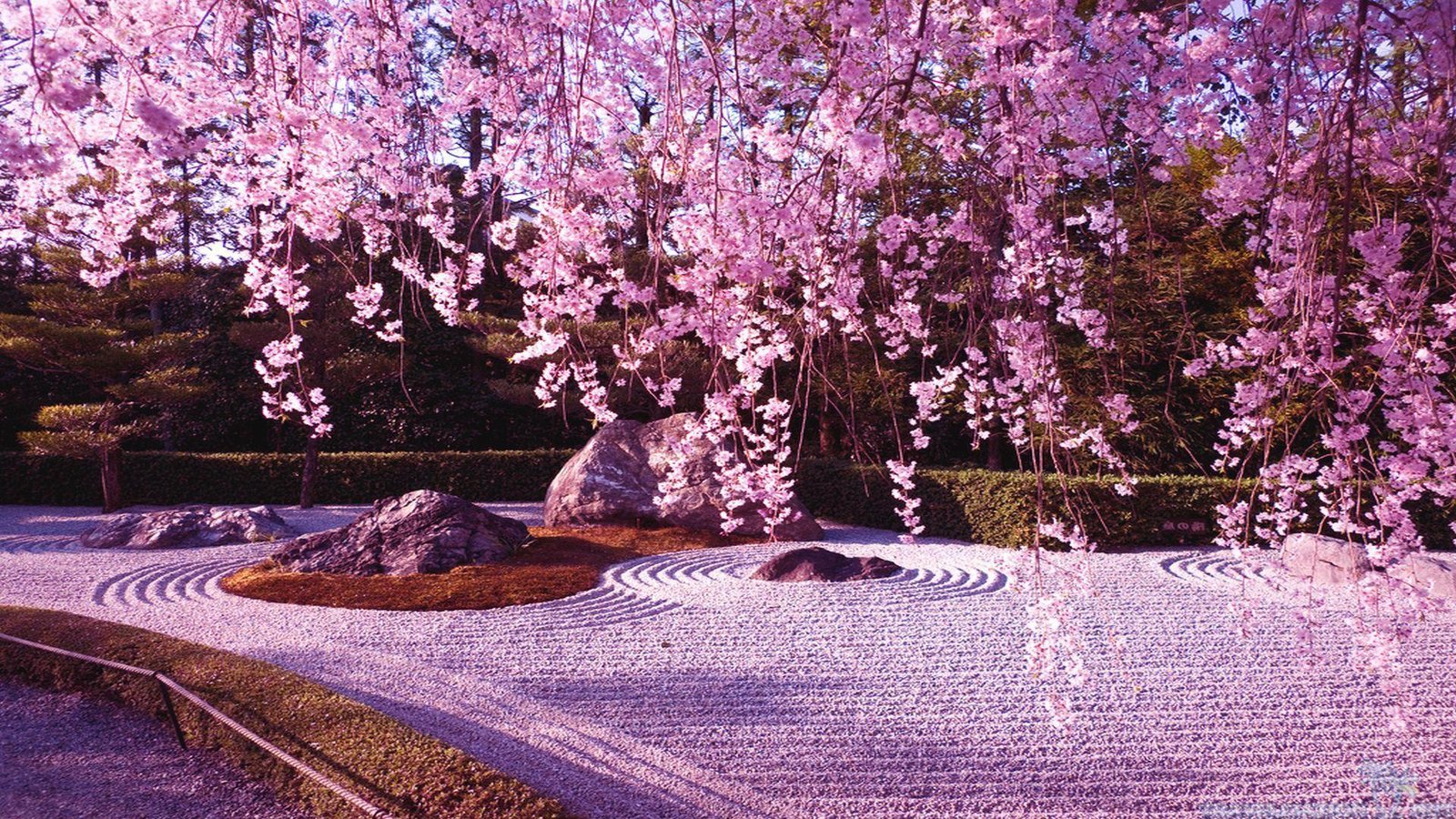 japanese flower wallpapers - top free japanese flower backgrounds