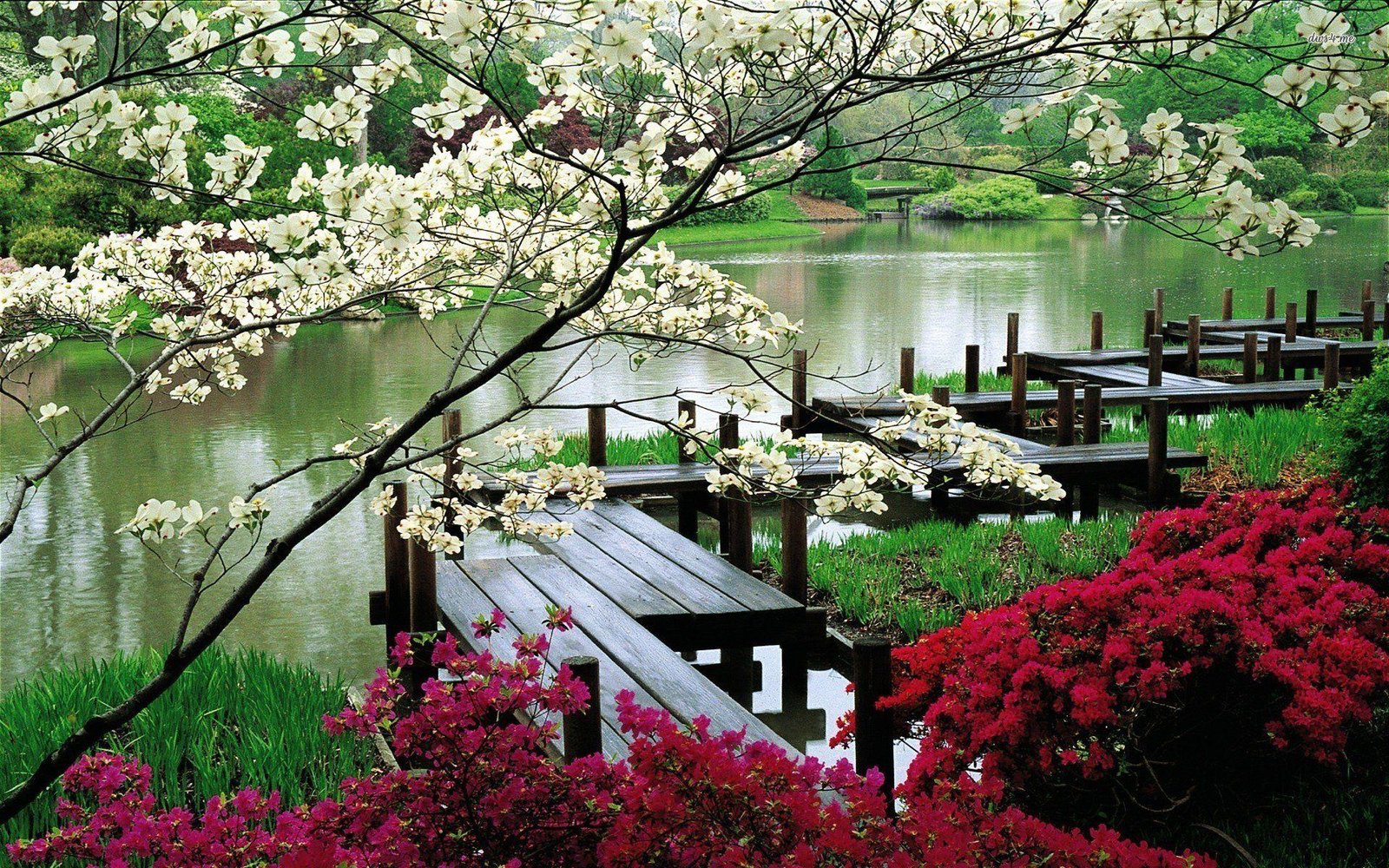 japanese flower garden wallpapers - top free japanese flower garden
