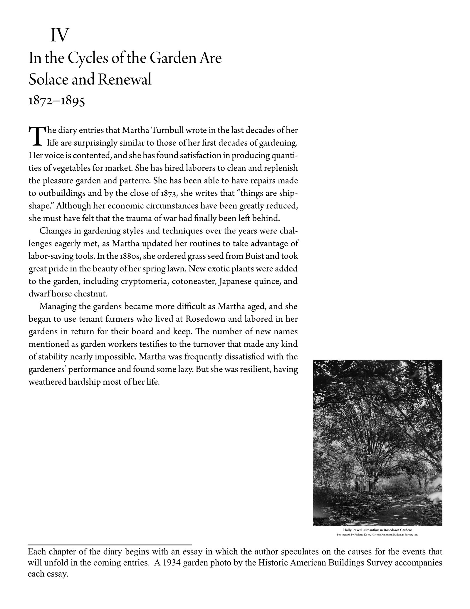 002 essay on garden example about gardening gwenfar s and other