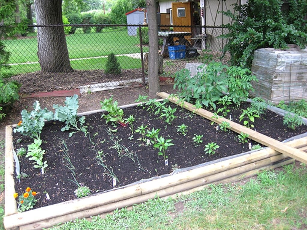 impressive ideas backyard vegetable garden design plain small design
