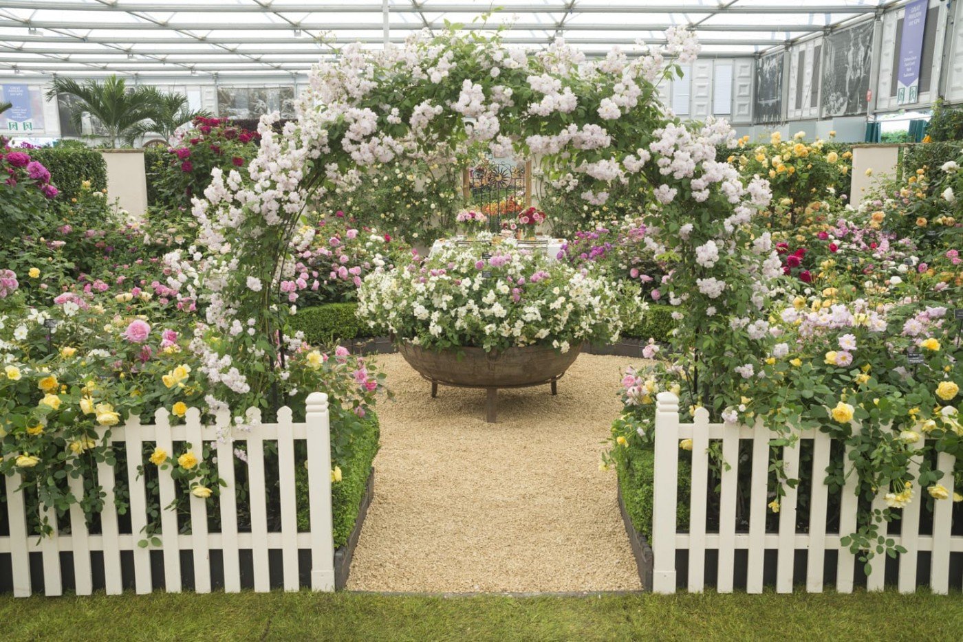 rhs chelsea flower show 2014 - gallery