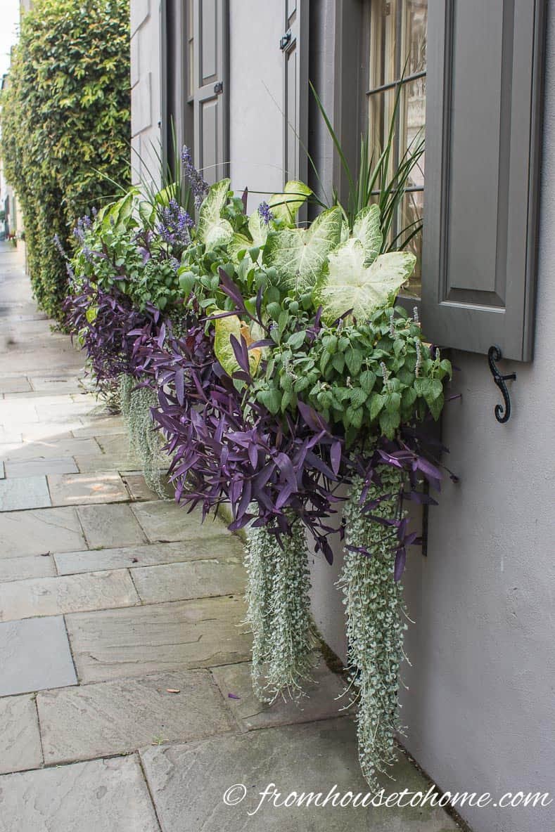 flower box ideas: 10 ways to create beautiful window boxes