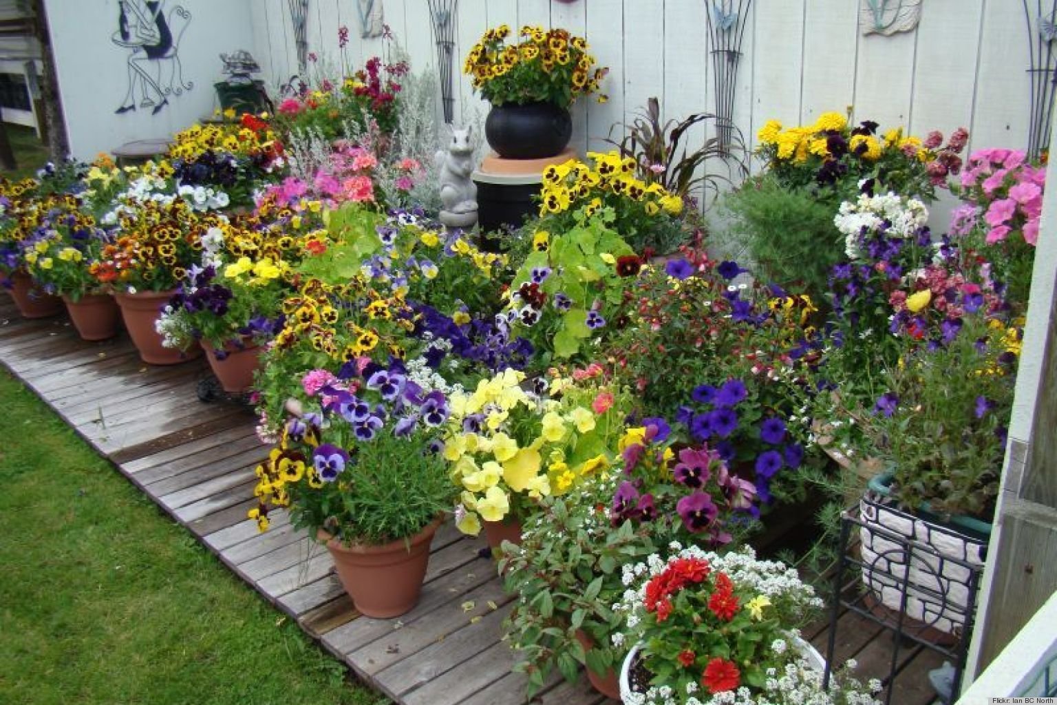 pot gardening ideas | homsgarden