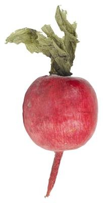 How to Grow Hydroponic Beets | Home Guides | SF Gate