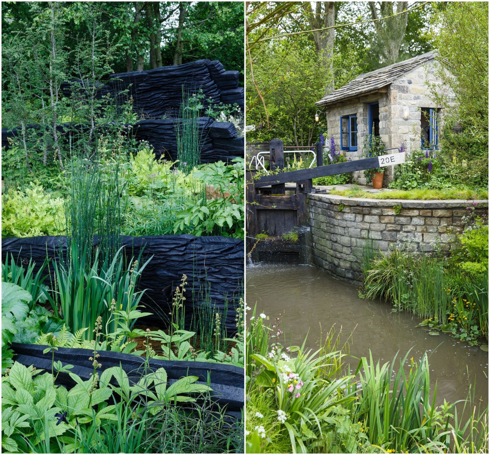 chelsea flower show: why people's choice & best show garden winners