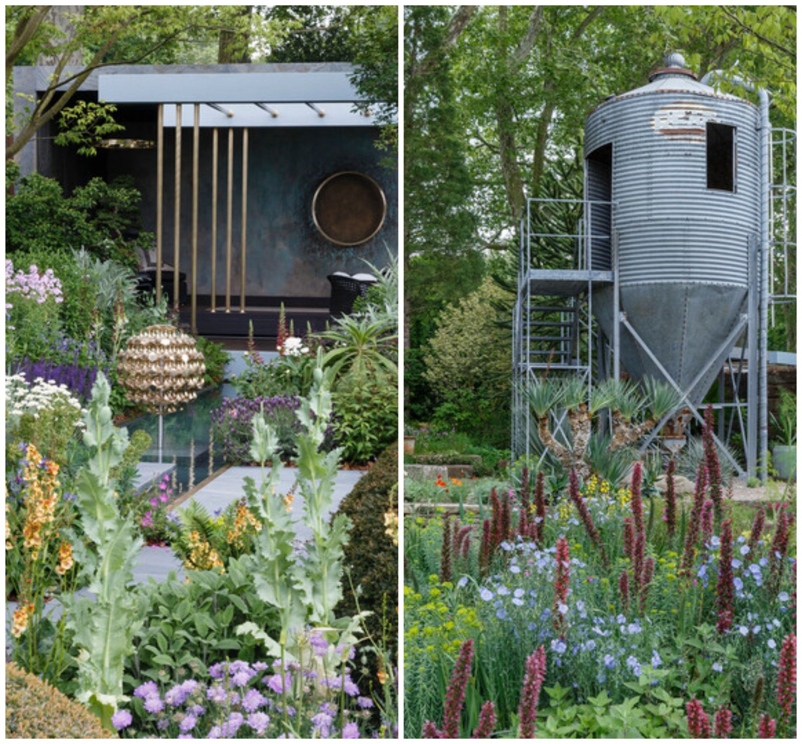 winners of chelsea flower show 2019 revealed: gold, silver gilt