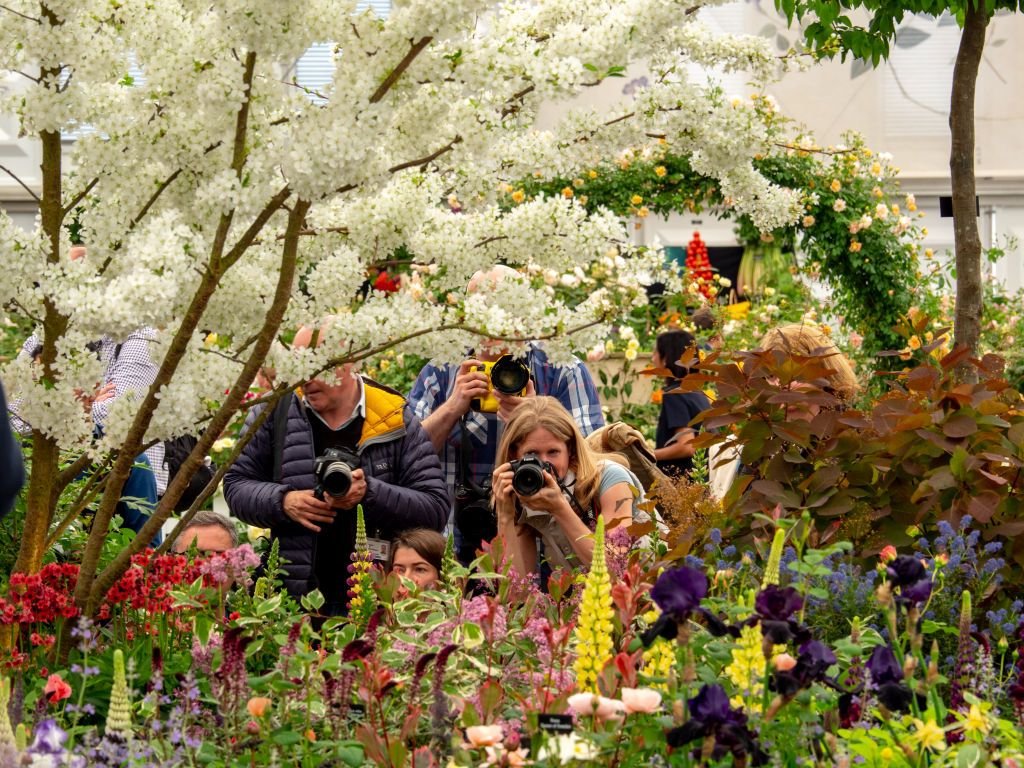 chelsea flower show: chelsea award winners 2019