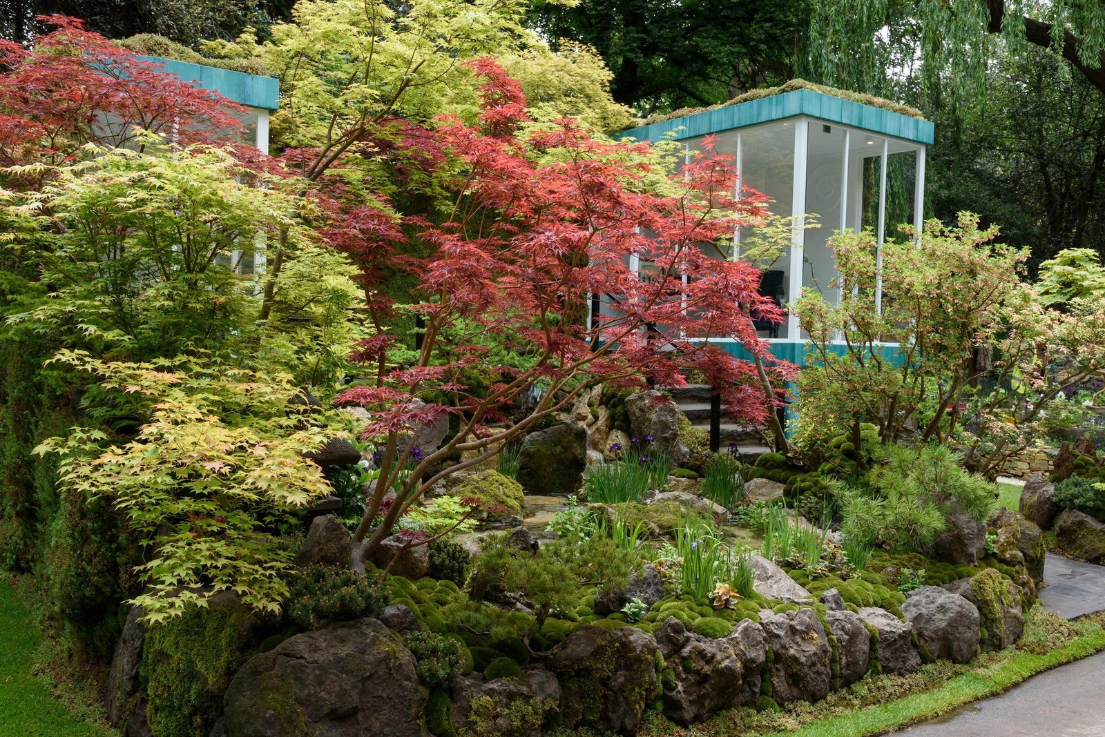 winning chelsea flower show 2019 gardens: all 28 gardens in photos