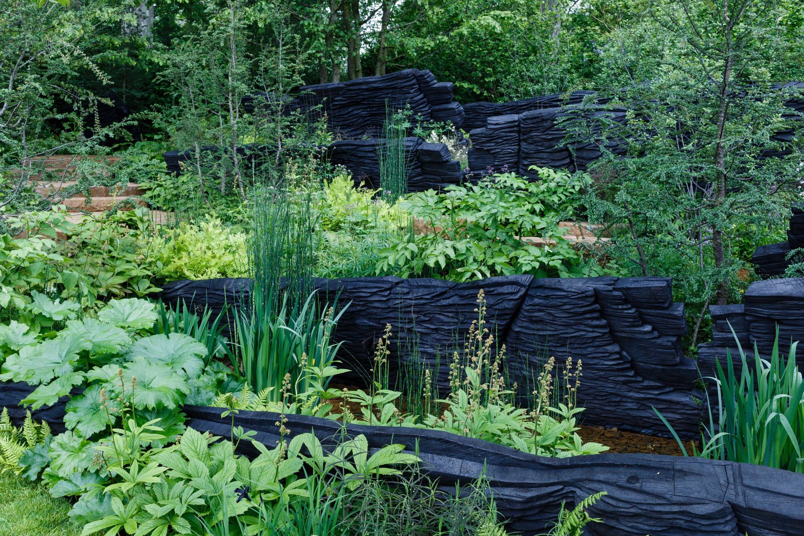 the best gardens at the chelsea flower show 2019
