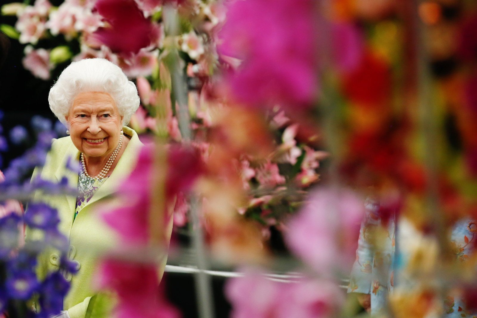 chelsea flower show 2020 - tickets, dates, location