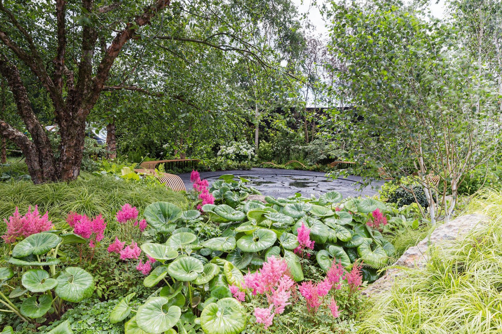hampton flower show 2019 garden winners: gold, silver-gilt, bronze