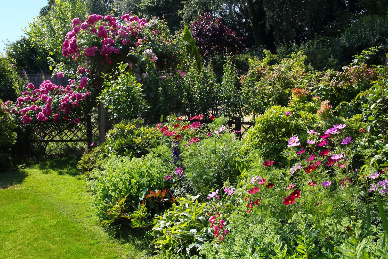 10 best low-maintenance bushes and shrubs — easy garden plant ideas