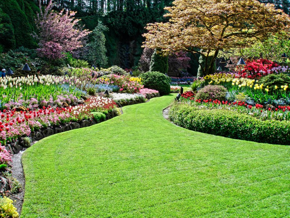 50 best backyard landscaping ideas and designs in 2020