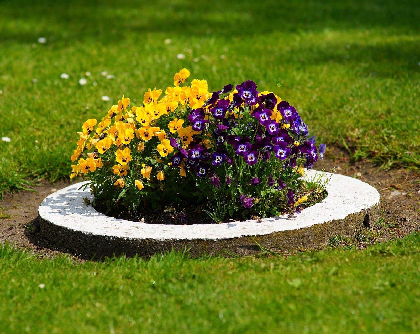 27 best flower bed ideas (decorations and designs) for 2019