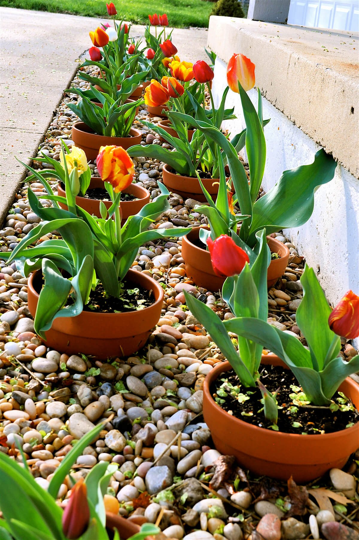 27 best flower bed ideas (decorations and designs) for 2019