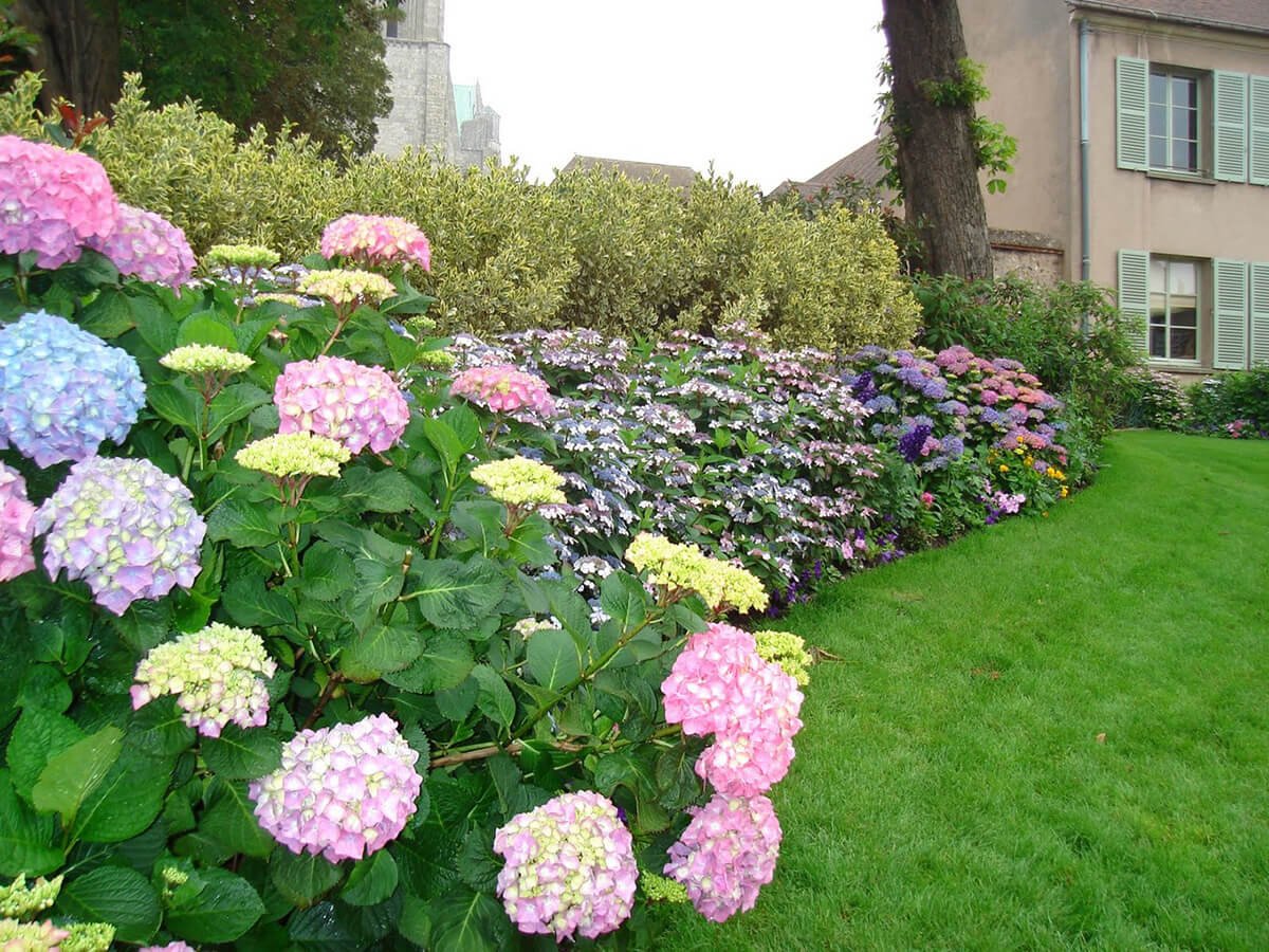 27 best flower bed ideas (decorations and designs) for 2019
