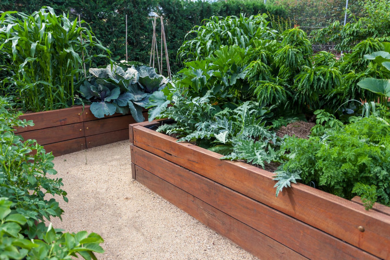41 backyard raised bed garden ideas