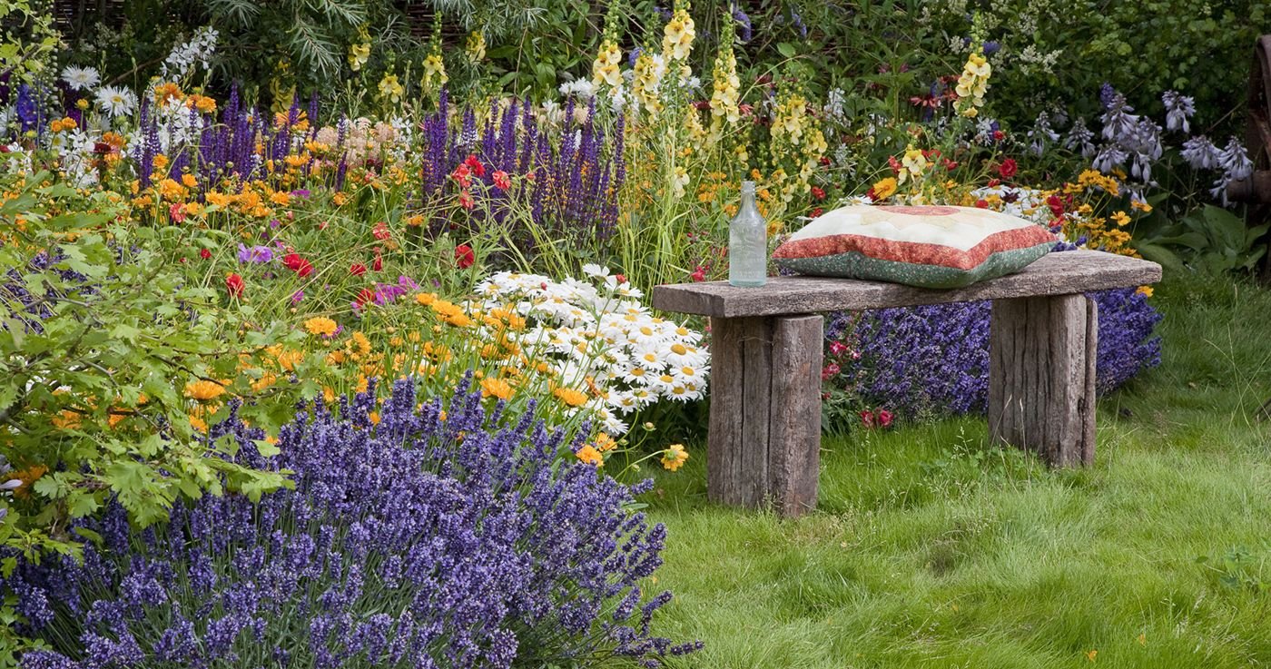 how to have year-round colour in your garden - garden planting ideas