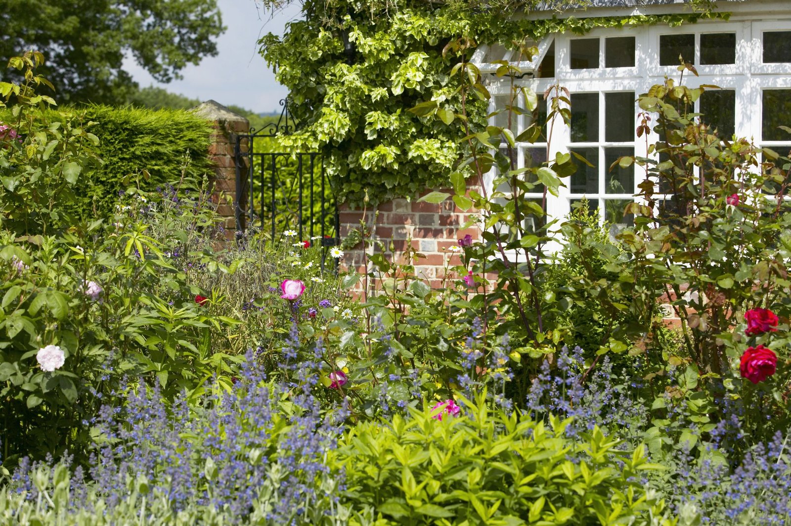how to give your cottage garden the wow factor all year round