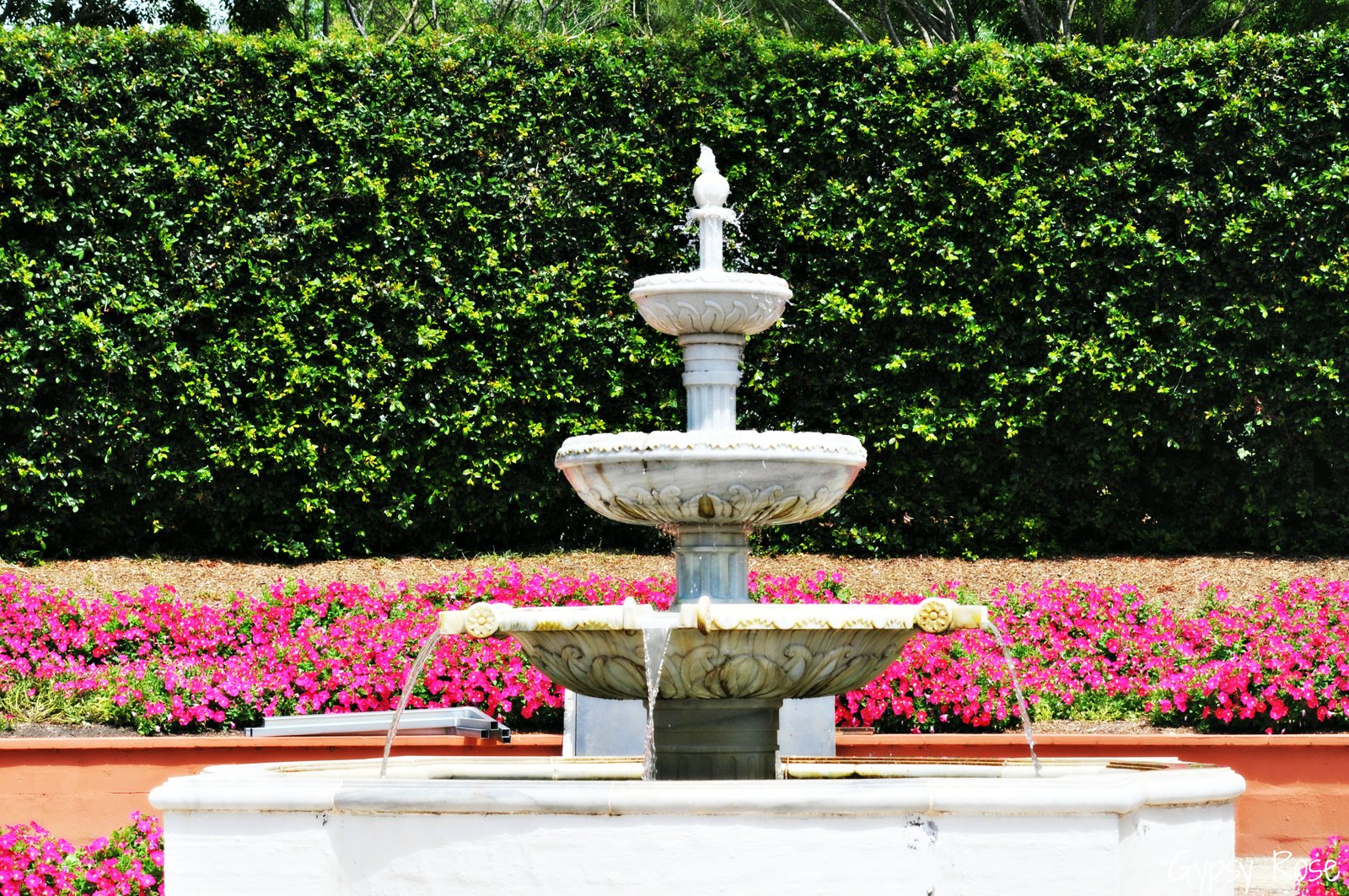 garden & flower events 2015 - melbourne & vic - melbourne
