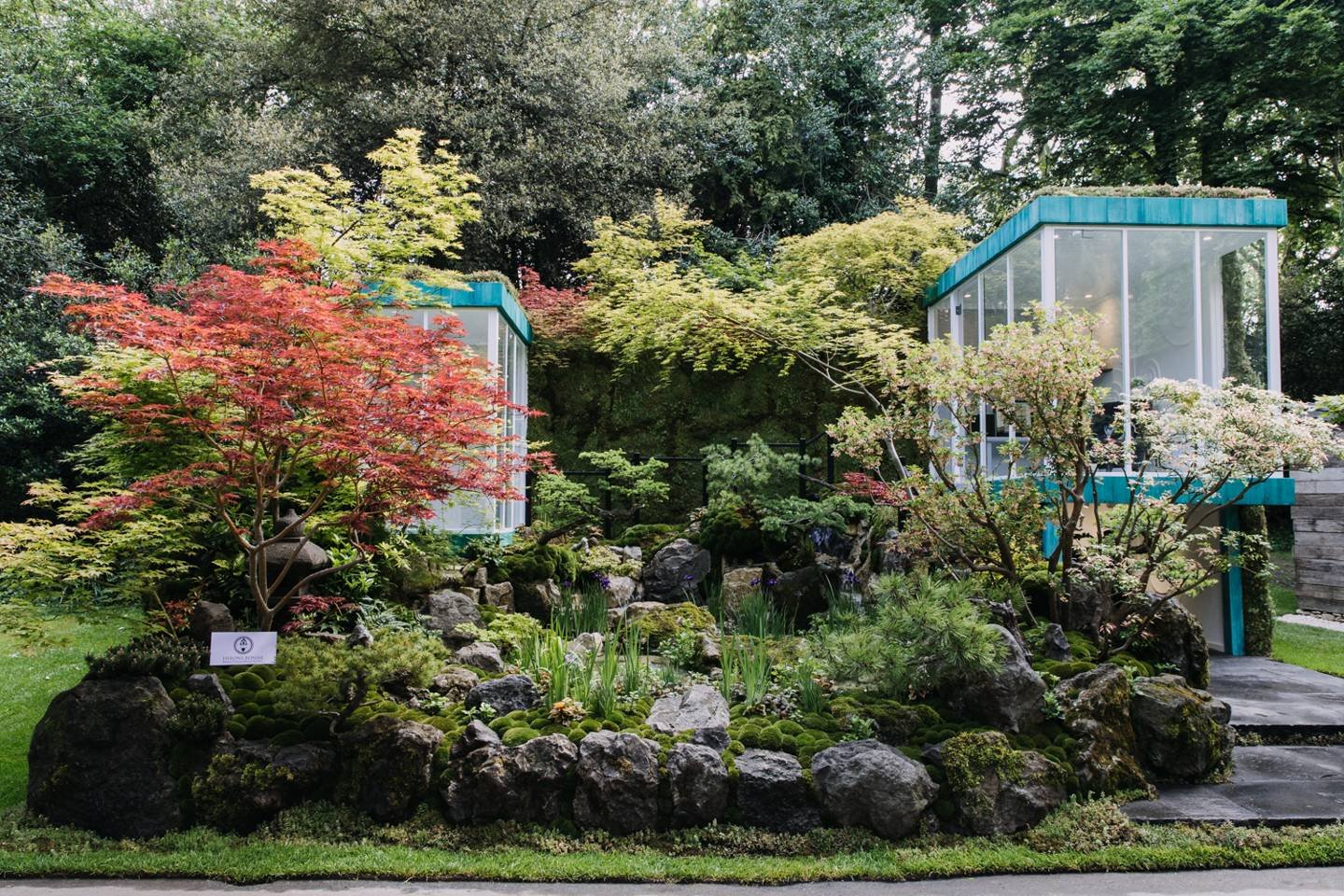 medal winners chelsea flower show 2019 | house & garden