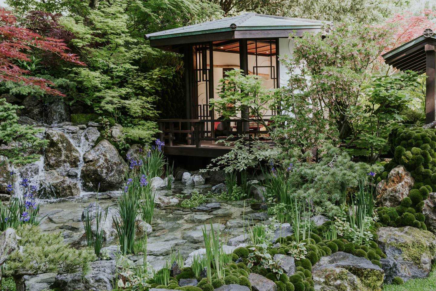 chelsea flower show 2018 pictures | house & garden