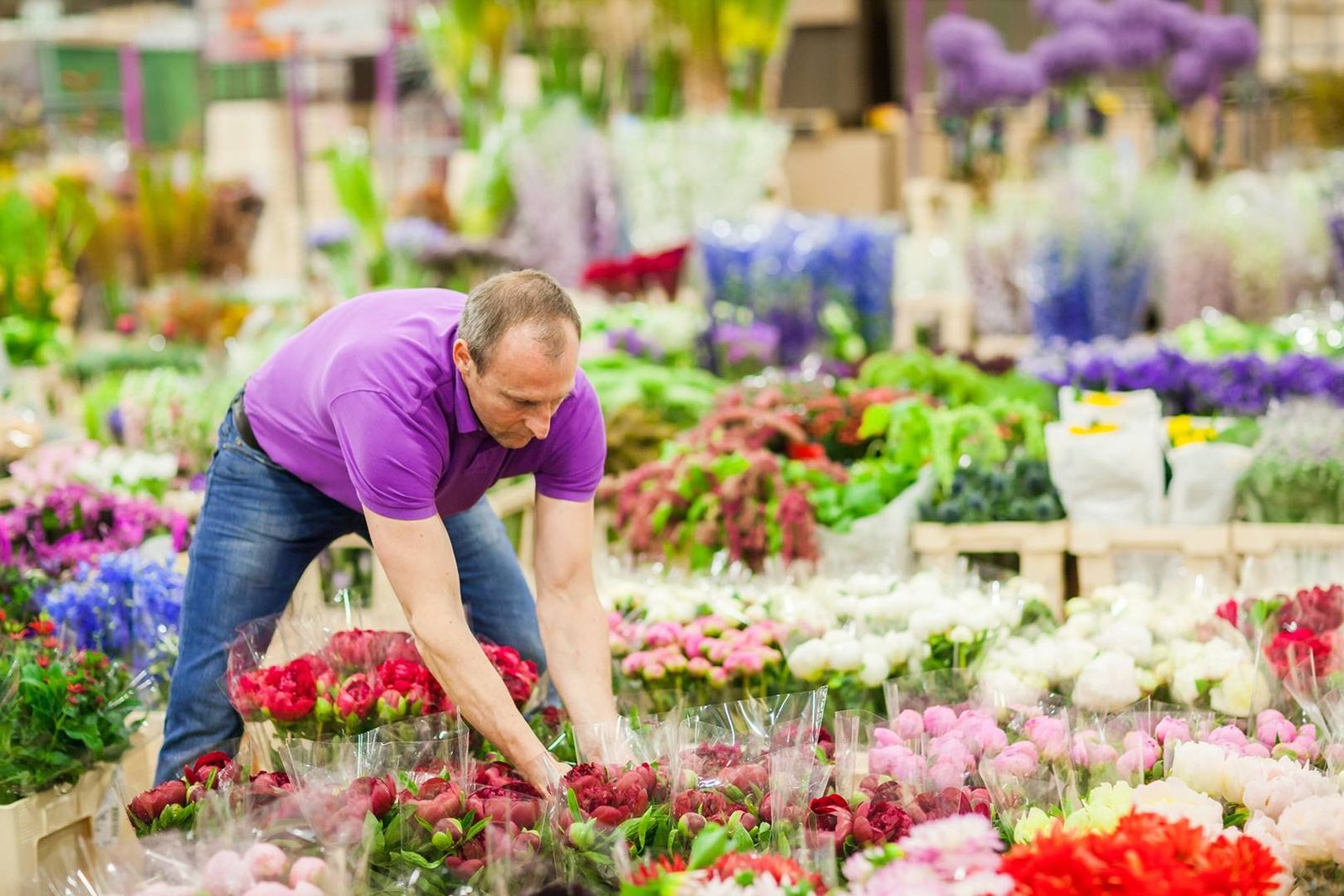 new covent garden market | house & garden