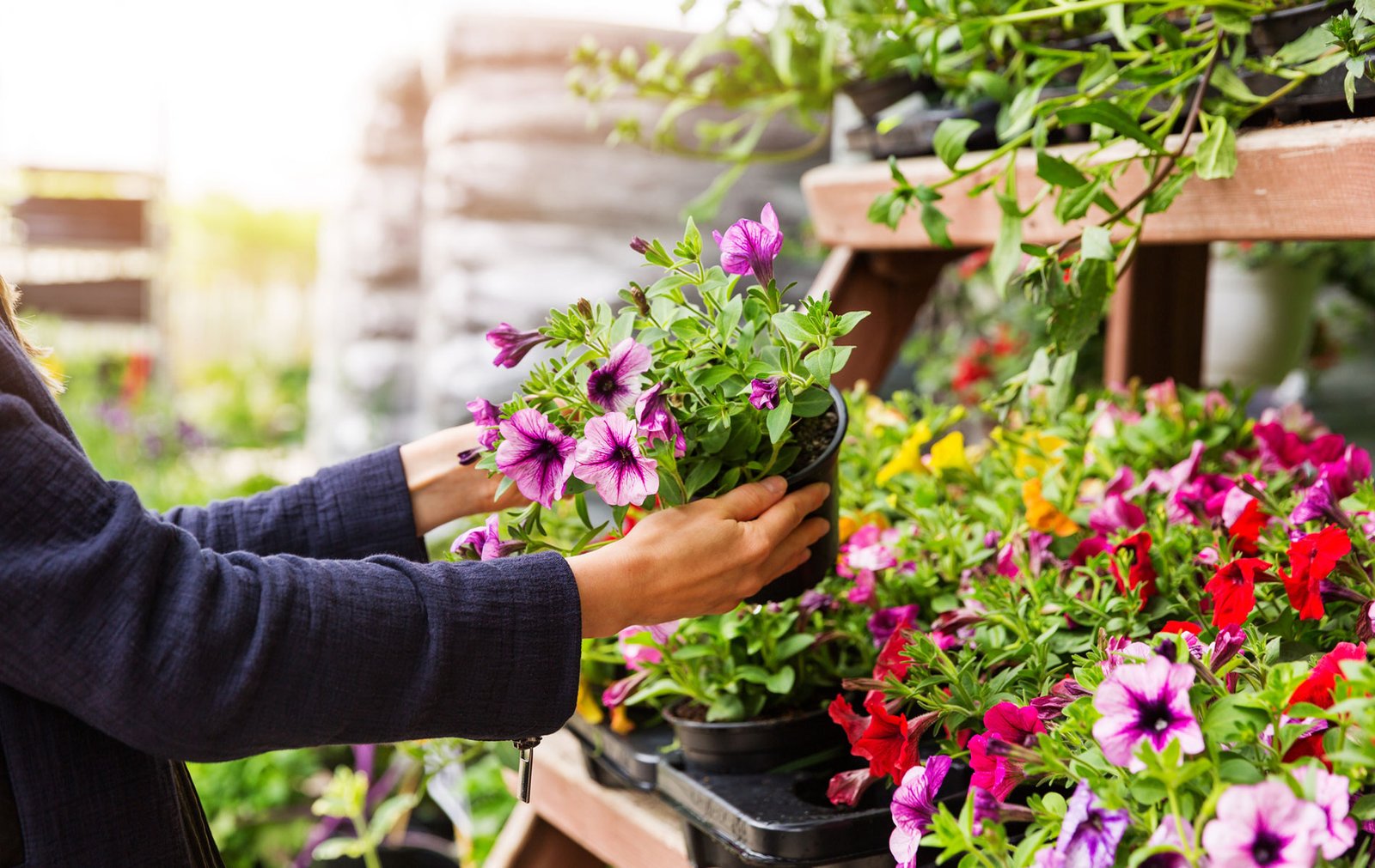 the garden store online singapore