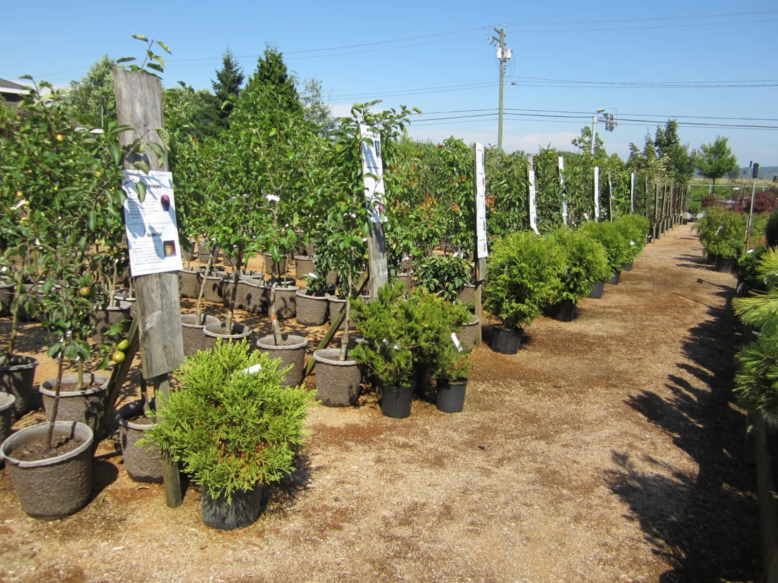 hunters garden centre & flower shop - opening hours - 15175 72nd