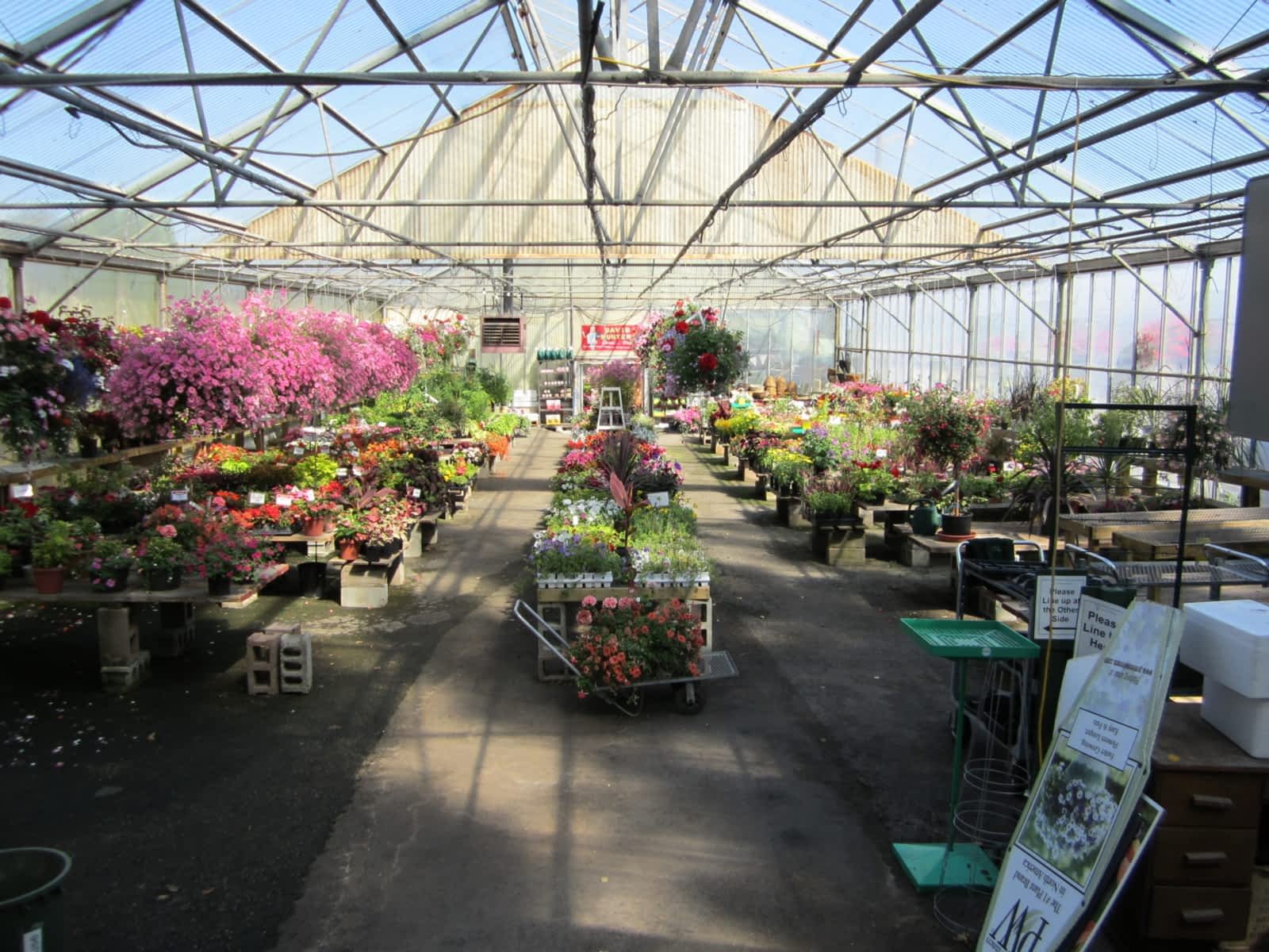 hunters garden centre & flower shop - opening hours - 15175 72nd