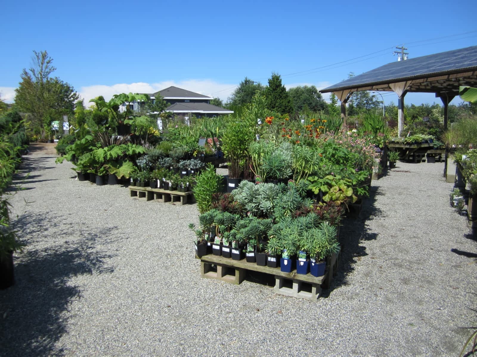 hunters garden centre & flower shop - opening hours - 15175 72nd