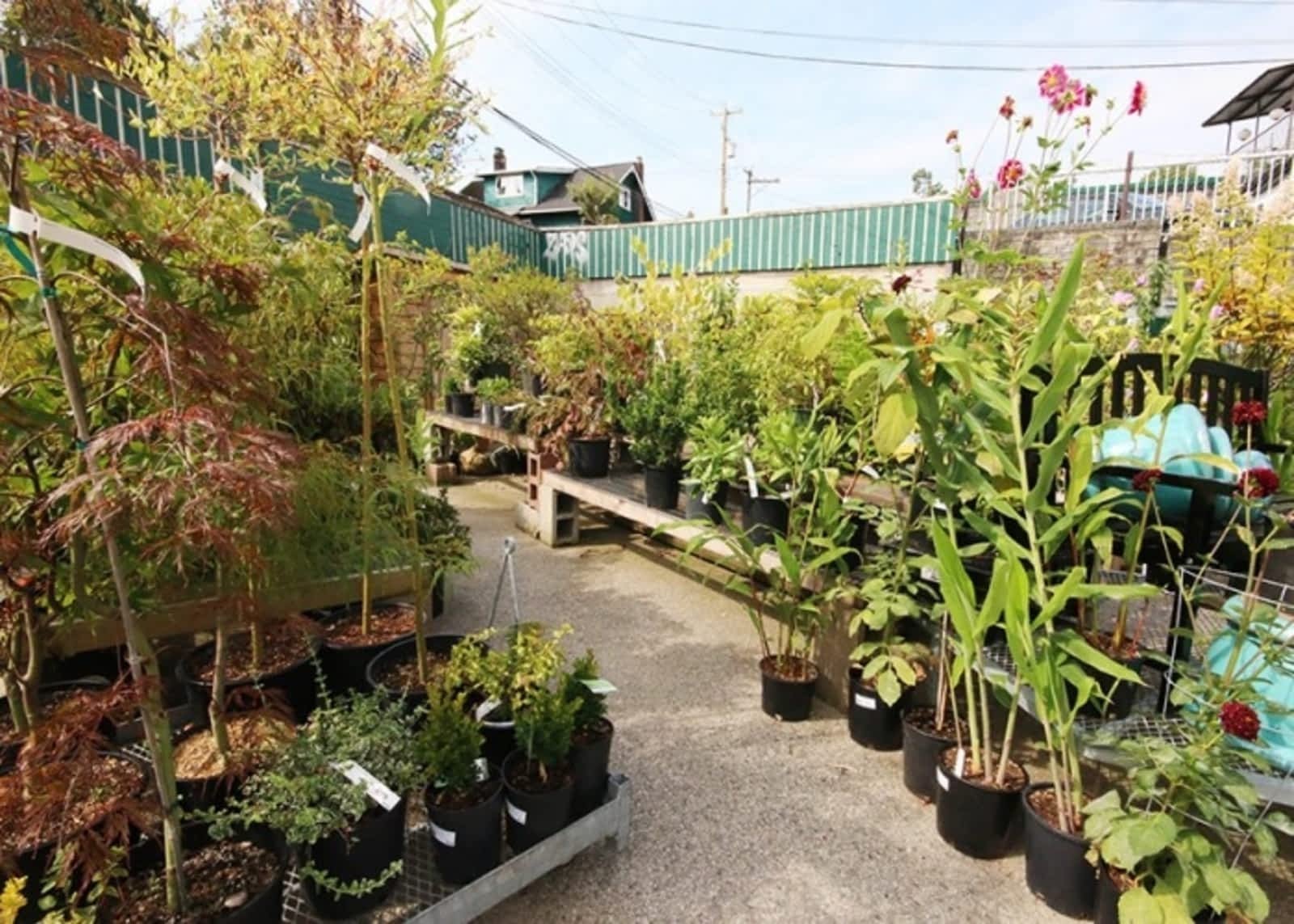 hunters garden centrer - opening hours - 2560 broadway w, vancouver, bc