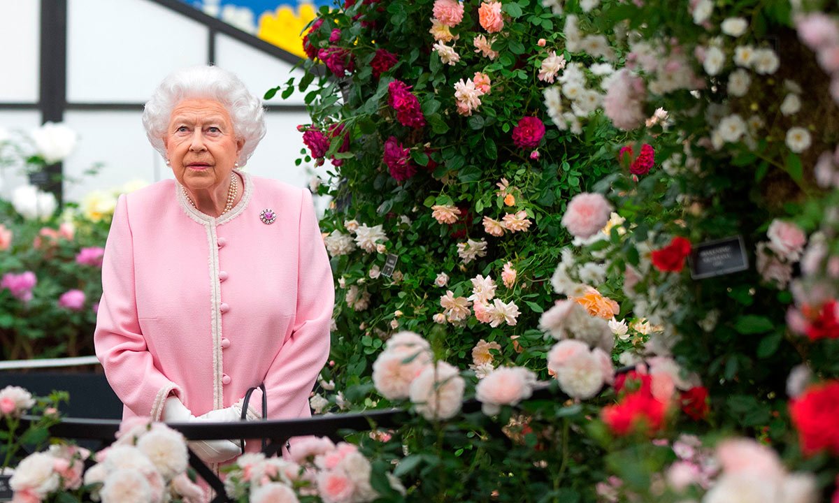 the chelsea flower show 2019: where is it and how much do tickets