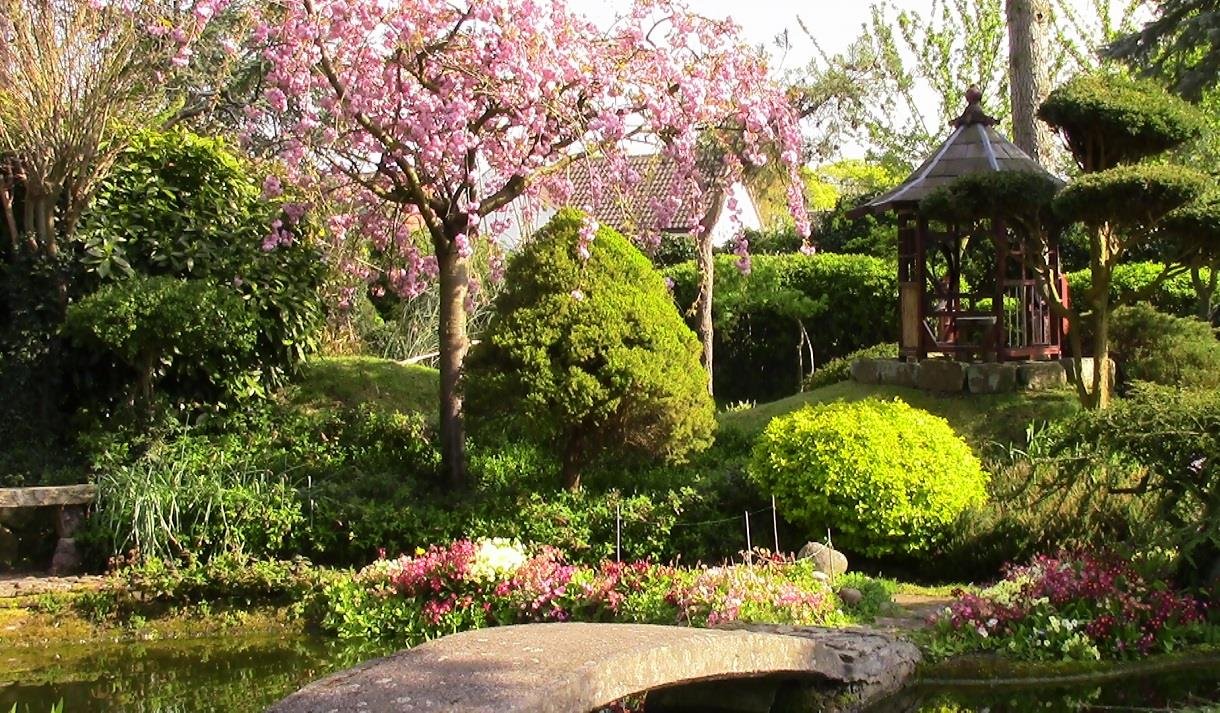 pure land japanese garden and meditation centre - visit