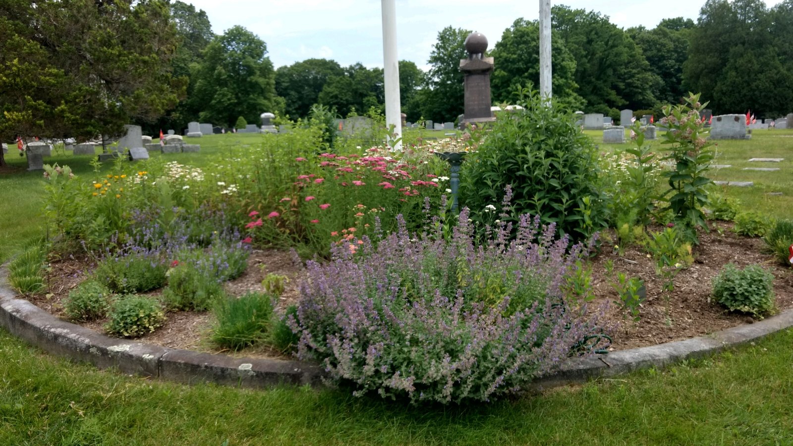 the brewster carmel garden club brightens our neighborhood