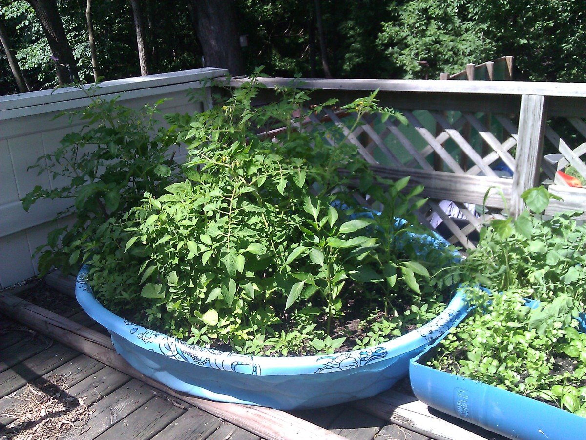 uses for wading pools | thriftyfun