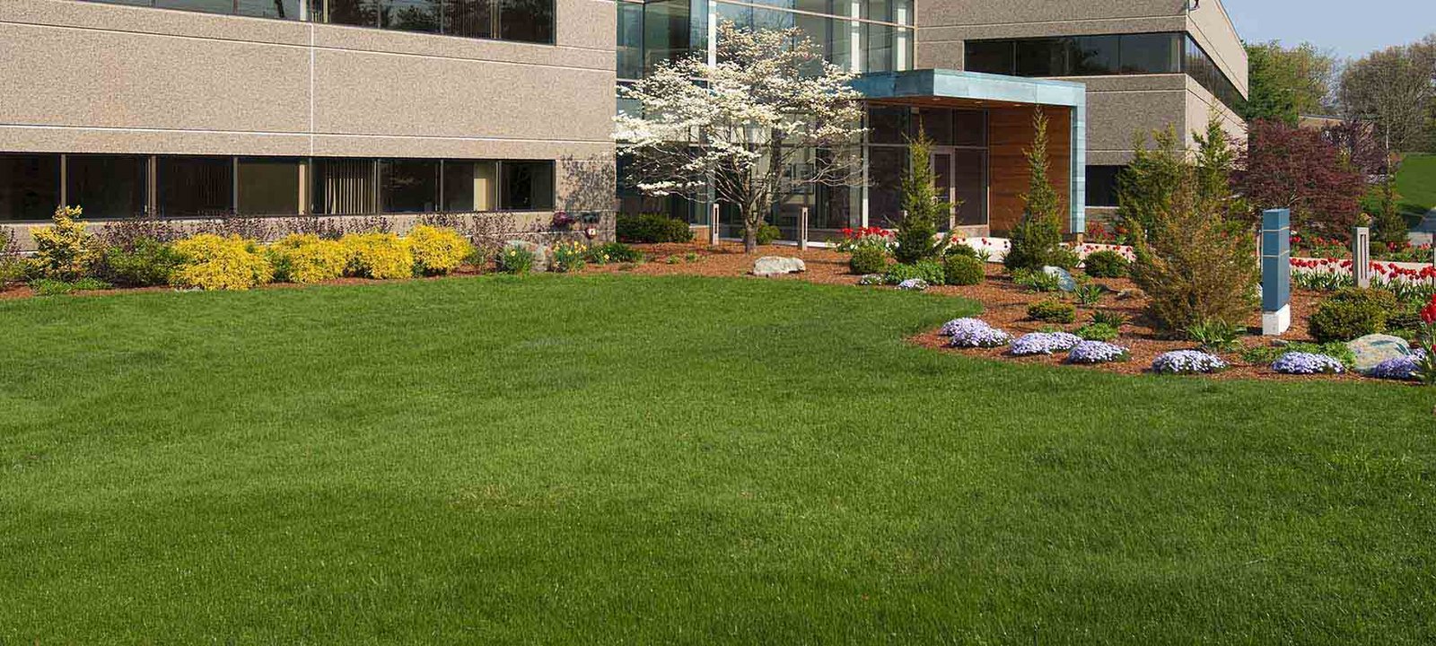 yard works - commercial landscaping services