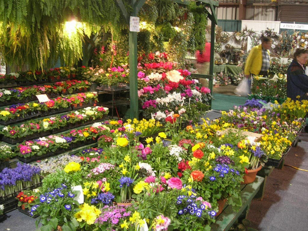 maryland home & garden show | lutherville, md patch