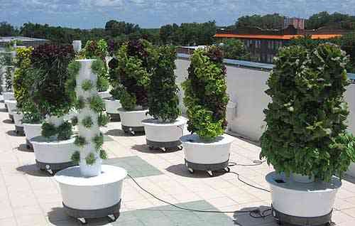 Tower Garden Growing System | DudeIWantThat.com